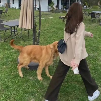 伪恋第二季 封面